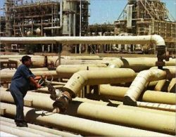 Baghdad -- The Iraqi government said Saturday international oil companies received seven oil field contracts out of a possible 10.