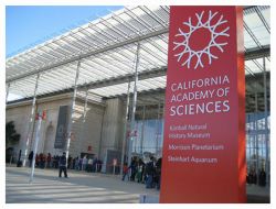 San Francisco -- California Academy of Sciences researchers say they discovered 94 new species this year, including 65 arthropods, 14 plants, eight fishes and five sea slugs.