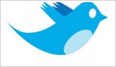 Twitter bird logo