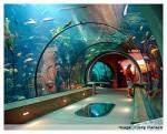 oregon-coast-aquarium.jpg