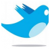 Twitter bird logo