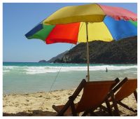 <p>Uh-oh! You just realized you have a retirement to plan for, and you haven't done anything about it yet. Time to get on the horse and start ridin'!</p>  <p>Fortunately, you have a lot of options available to keep you from eating dog food in your retirement years. Knowing what to do first, however, is often the biggest challenge.</p>