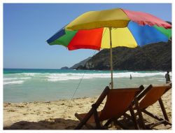 <p>Planning for retirement usually takes a lifetime. Along the way, you'll encounter plenty of distractions that can take you off the shortest path to financial independence. To reach the finish line, you've got to train yourself to avoid those distractions and keep moving forward.</p>
